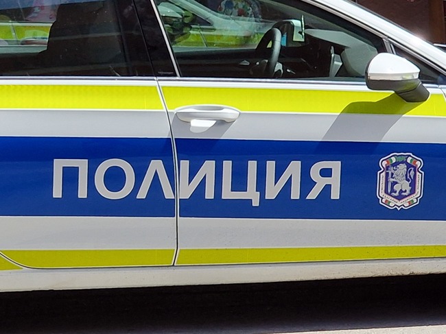 В магазин в Голяма Желязна дават стоки на вересия, за да се гласува за конкретна партия